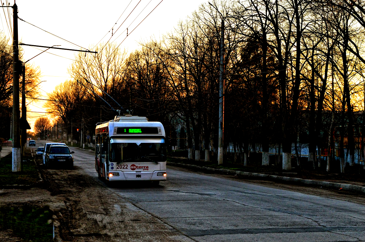 Autumn bus route at sunset symbolizing relationship changes in Collette Gee’s Nicole Kidman divorce blog.
